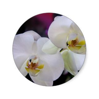 Orchid stickers