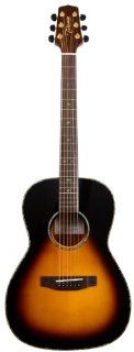 Takamine G Series G406S VS New Yorker Acoustic Guitar, Sunburst Musical Instruments