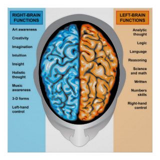Poster Human brain left and right functions