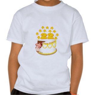 22 Year Old Birthday Cake Mouse T shirt