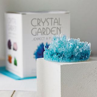 crystal garden by junior geo