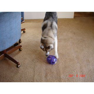 PetSafe Busy Buddy Kibble Nibble Meal Dispensing Dog Toy, Medium/Large  Pet Toy Balls 
