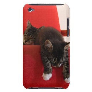 Two Kittens Hanging off a Red Chair Cushion iPod Touch Cover