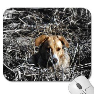 Mousepad   9.25" x 7.75" Designer Mouse Pads   Dog/Dogs (MPDO 426) Computers & Accessories