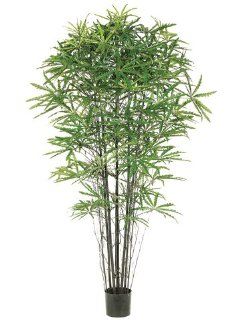 Shop 5' False Aralia Black Bamboo Tree w/1233 Lvs. in Pot Two Tone Green (Pack of 2) at the  Home Dcor Store. Find the latest styles with the lowest prices from Silk Decor