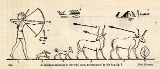 1854 Woodcut Ancient Egyptian Bow Arrow Hunter Wild Ox Hieroglyphics Archaeology   Original Woodcut   Woodcuts Prints