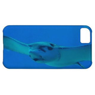 Stingray Swimming Under Water iPhone 5C Cover