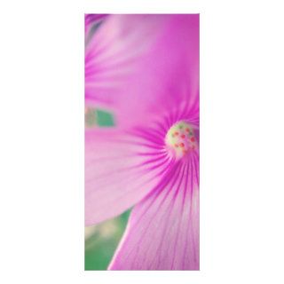 Two Tiny Pink Flowers Custom Rack Cards
