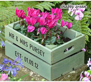 personalised small crate with cyclamen bulbs by plantabox
