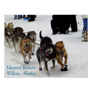 Iditarod Restart Poster