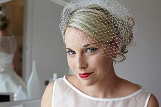 classic handmade birdcage veil by lily bella