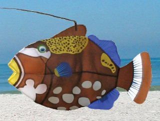 Swimming Fish Wind Catchers   Clown Triggerfish Patio, Lawn & Garden