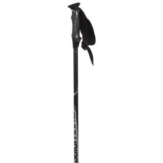 Salomon Lithium 08 Ski Poles Black/Silver 2014