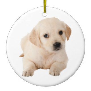 Golden Retriever Puppy Christmas Ornament
