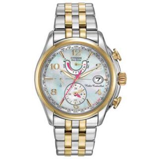 Ladies Citizen Eco Drive™ World Time A T Watch (Model FC0004 58D