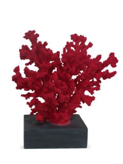 Coral Decor by Three Hands