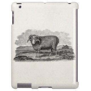 Vintage 1800s Merino Sheep Ram Lamb Template