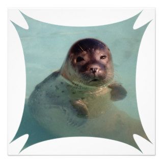 Baby Seal Invitation