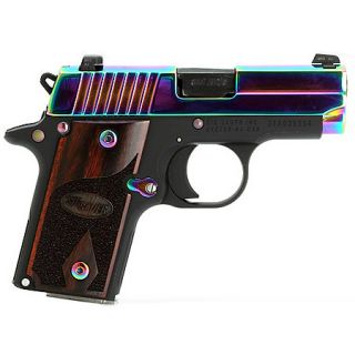 Sig Sauer P238 Rainbow Handgun 721024