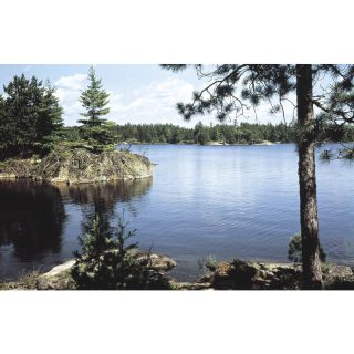 Environmental Graphics Lake In The Woods Wall Mural