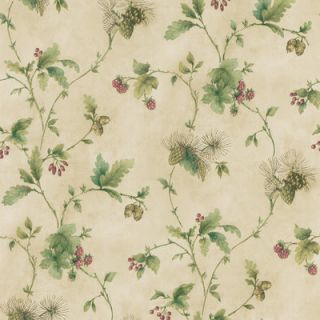 Brewster Home Fashions Northwoods Pine Cone Trail Wallpaper