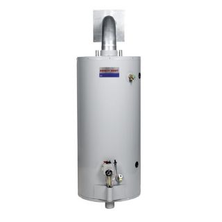 Direct Vent Direct Vent 50 Gallon 6 Year Tall Gas Water Heater (Liquid Propane)