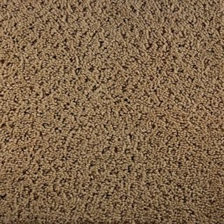 STAINMASTER Active Family Enlightenment Tan/Brown Fashion Forward Indoor Carpet