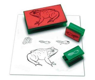 FROG LIFE CYCLE STAMP Toys & Games