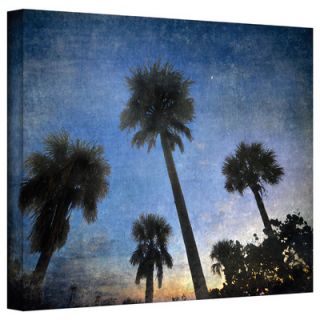 Art Wall Palms at Sunset by David Liam Kyle Photographic Print on