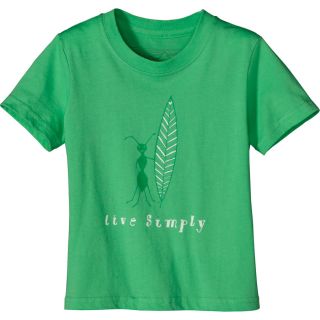 Patagonia Live Simply Surf Ant T Shirt   Short Sleeve   Infant Boys