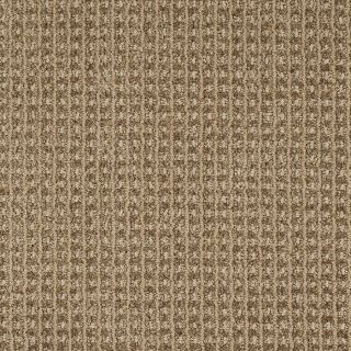 STAINMASTER Trusoft Rising Star Taupe Charm Fashion Forward Indoor Carpet