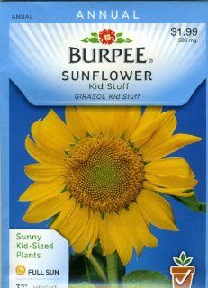 Burpee 46615 Sunflower Kid Stuff Seed Packet  Flowering Plants  Patio, Lawn & Garden