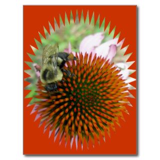 Coneflower & Eastern Carpenter Bee Items Postcards