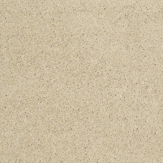 STAINMASTER Trusoft Luscious IV Plateau Textured Indoor Carpet