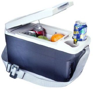 Sharper Image Hot+Cold Snack Box Mini Fridge for Cars (SI551GRY)   Other Products