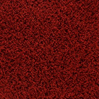 STAINMASTER Active Family Dorchester Red/Pink Frieze Indoor Carpet