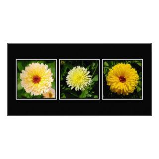 Marigold Triptych   Yellow Photo Greeting Card