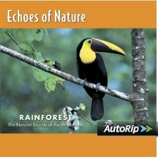 Echoes of Nature Rainforest Music