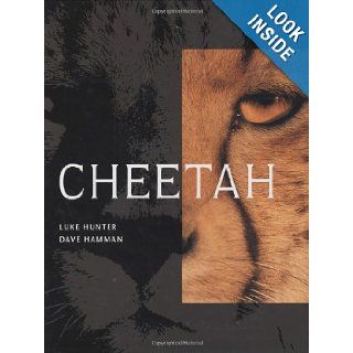 Cheetah (9781868727193) Luke Hunter, Dave Hamman Books