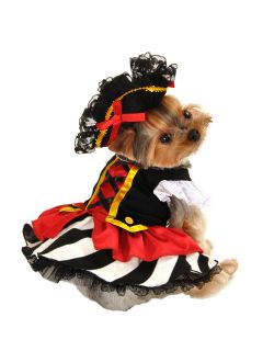 Pirate Girl Dog Costume by Anit