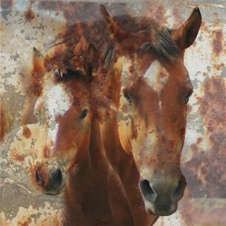 Art in Style Brown Horse and Foal Giclee Canvas Wall Art Art in Style Canvas
