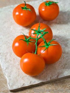 CLUSTER TOMATOES FRESH PRODUCE FRUIT VEGETABLES 4 PACK  Fresh Proudce  Grocery & Gourmet Food