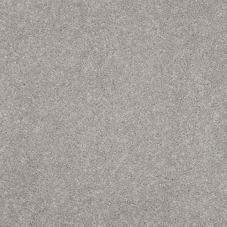 STAINMASTER Trusoft Luscious III Carbon Textured Indoor Carpet