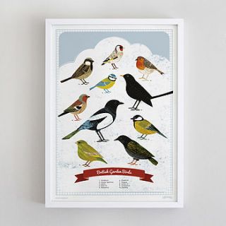 british garden birds poster by finch and robin