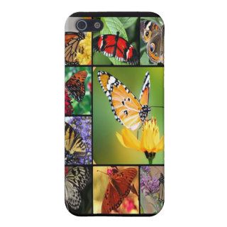 Butterfly collage print iPhone 5 cases
