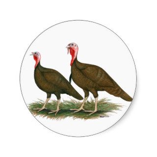 Turkeys  Chocolate Round Stickers