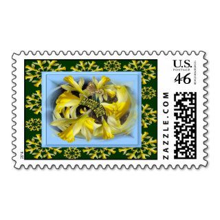 DAFF DANCE ~ US. Postage