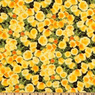 44'' Wide State Flowers California Poppy Black/Yellow Fabric By The Yard