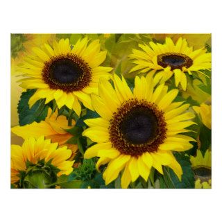 Sunny Sunflower Print