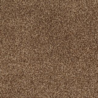 STAINMASTER Trusoft Peaceful Mood I Rustic Textured Indoor Carpet